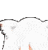 neko_peek2 Discord Emoji