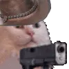 OlafCowboyGunner