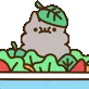 stormy_salad