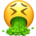 vomit
