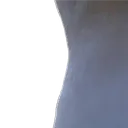 gull3