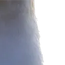 gull4 gull4