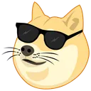 dogecool