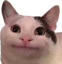 :nicecatto: