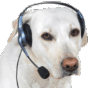 :gavgav: Discord Emote