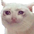 Sad Cat sadcat Discord Emoji