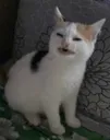 Confused