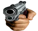 Gun