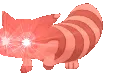 wokeboy