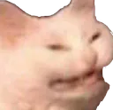 cate