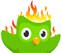 duovuur duovuur