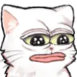 sad_cat