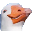 Ganso Ganso