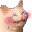 Cattoblushiecri Discord Emoji