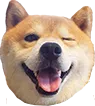 Doge Wink dogewink Discord Emoji