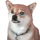 sad_rar