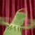 :CBKermitSpazm: Discord Emote