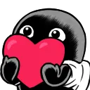 dchawanzaheart