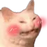 pinkcheekcatthatsawful