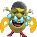 Joy_Shrek