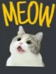 zcat_meow zcat_meow