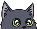 shaggypeek