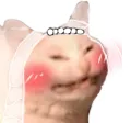 nastyBride