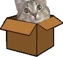 wadnerbox