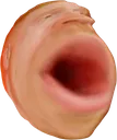omegafront omegafront