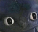 :oh: Discord Emote