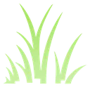 grass