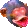MonkeyOok