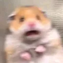 h_scared