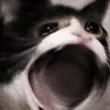 omegalulucat