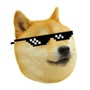 :DogeCool: Discord Emote