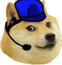 mtfDoge