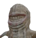 hahanut
