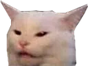 Heck Heck