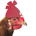 chickenchicken