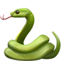 snake