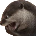otterFEEDS