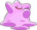 Ditto