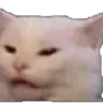 cat_reeee