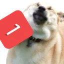 pingo