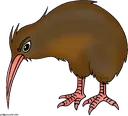 kiwi