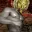 dagoth_ricardo