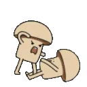 fite