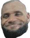 LeBronWholesome