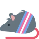 trans_rat