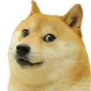 Doge